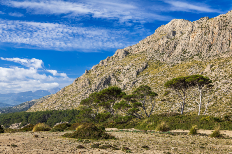 La Vallée de Boquer