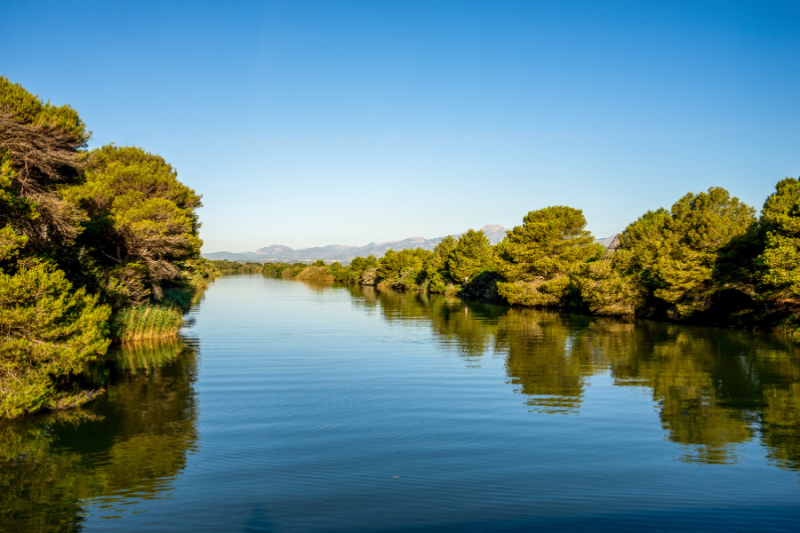 Visiter le Parc Naturel de S\'Albufera